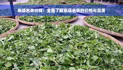 泰顺名茶价钱：全面了解泰顺名茶的价格与品质