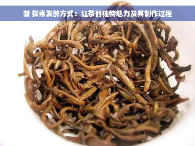 新 探索发酵方式：红茶的独特魅力及其制作过程