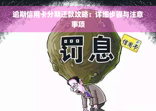 逾期信用卡分期还款攻略：详细步骤与注意事项