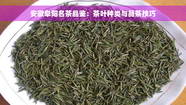 安徽阜阳名茶品鉴：茶叶种类与品茶技巧