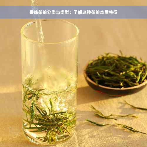 香珠茶的分类与类型：了解这种茶的本质特征