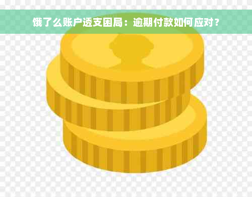 饿了么账户透支困局：逾期付款如何应对？