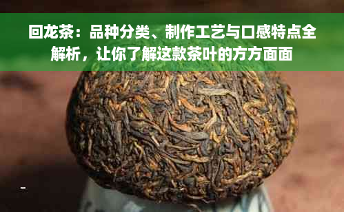 回龙茶：品种分类、制作工艺与口感特点全解析，让你了解这款茶叶的方方面面