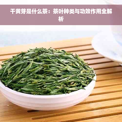 干黄芽是什么茶：茶叶种类与功效作用全解析