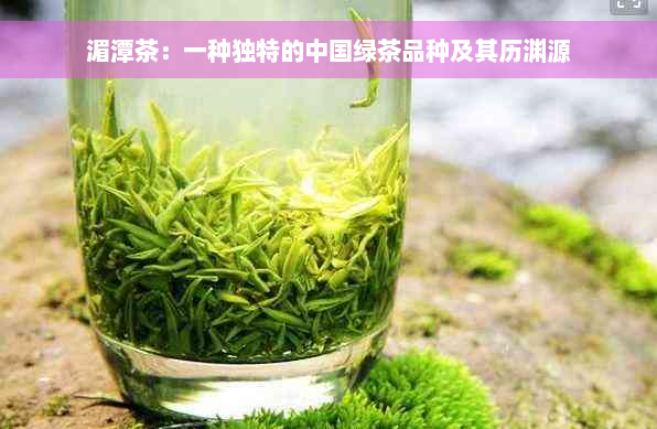 湄潭茶：一种独特的中国绿茶品种及其历渊源