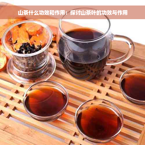 山茶什么功效和作用：探讨山茶叶的功效与作用