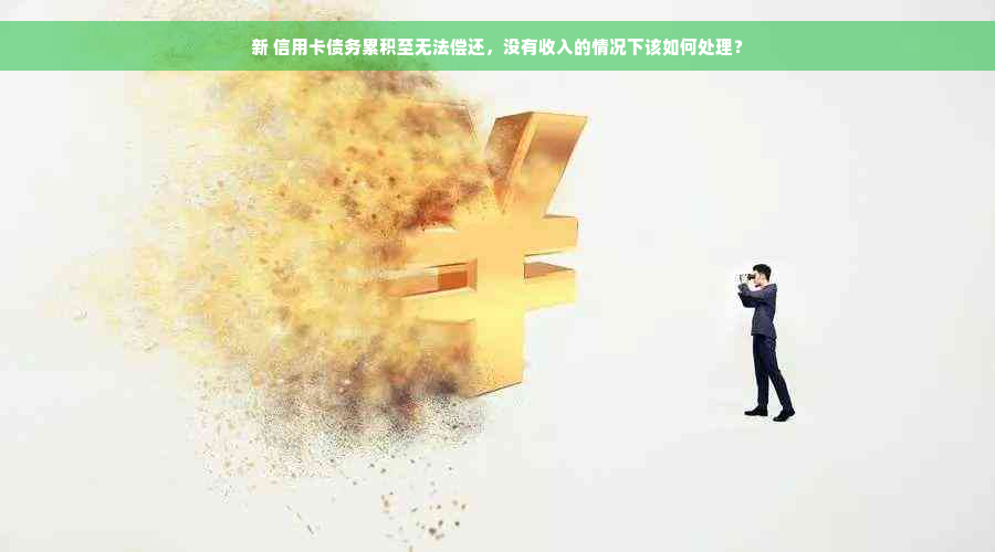 新 信用卡债务累积至无法偿还，没有收入的情况下该如何处理？