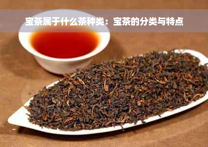 宝茶属于什么茶种类：宝茶的分类与特点