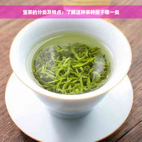 宝茶的分类及特点：了解这种茶种属于哪一类