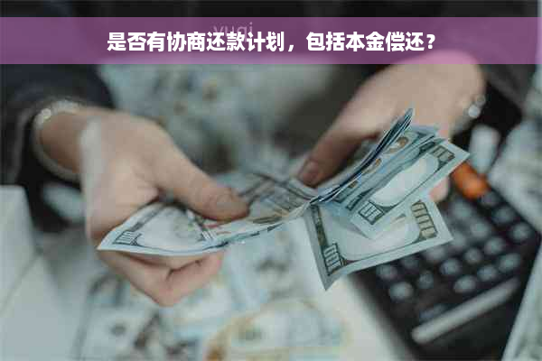 是否有协商还款计划，包括本金偿还？