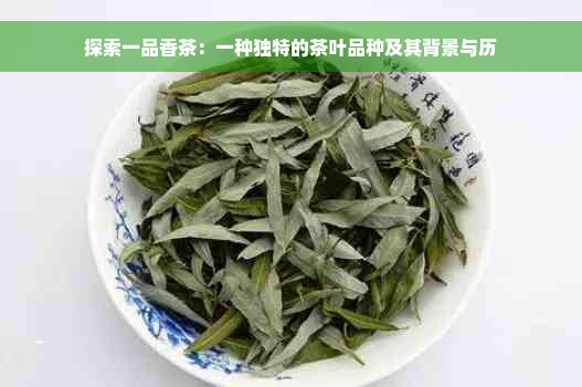 探索一品香茶：一种独特的茶叶品种及其背景与历