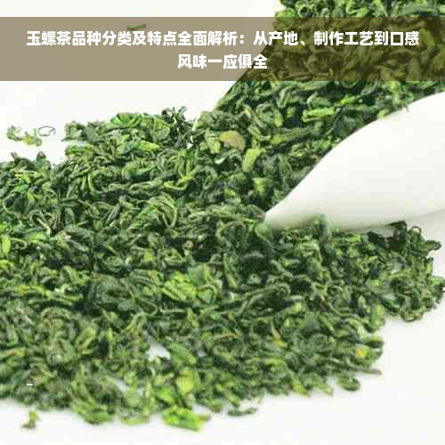 玉螺茶品种分类及特点全面解析：从产地、制作工艺到口感风味一应俱全