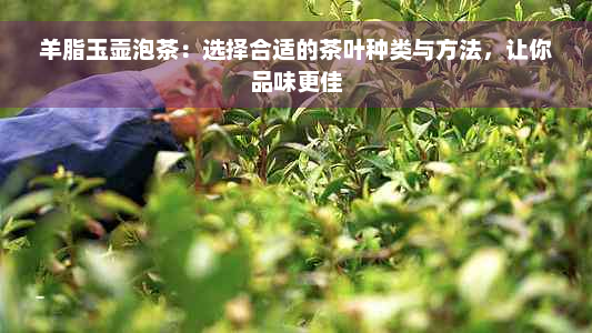 羊脂玉壶泡茶：选择合适的茶叶种类与方法，让你品味更佳