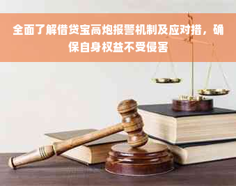 全面了解借贷宝高炮报警机制及应对措，确保自身权益不受侵害