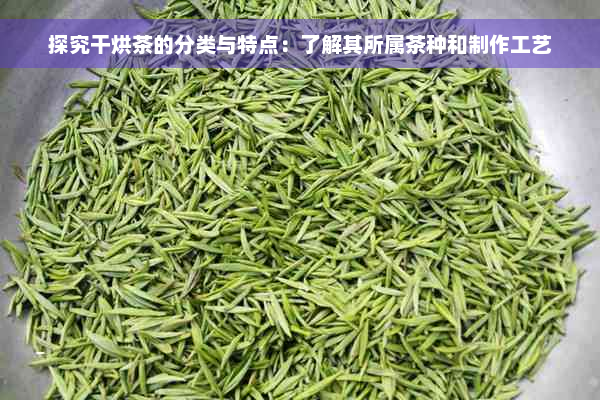 探究干烘茶的分类与特点：了解其所属茶种和制作工艺