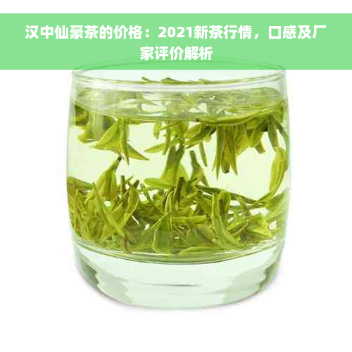 汉中仙豪茶的价格：2021新茶行情，口感及厂家评价解析