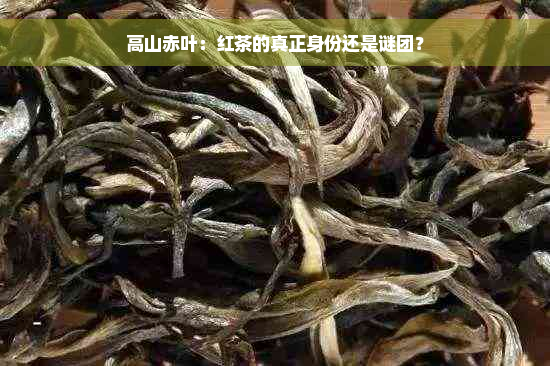 高山赤叶：红茶的真正身份还是谜团？