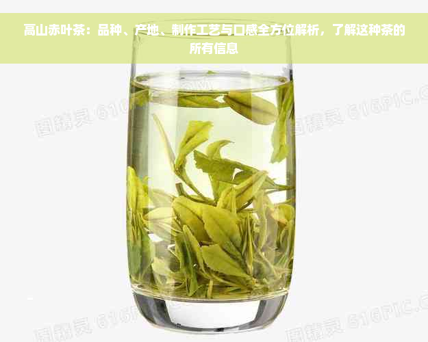 高山赤叶茶：品种、产地、制作工艺与口感全方位解析，了解这种茶的所有信息