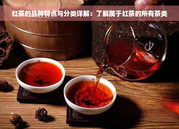 红茶的品种特点与分类详解：了解属于红茶的所有茶类