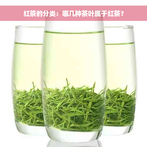 红茶的分类：哪几种茶叶属于红茶？