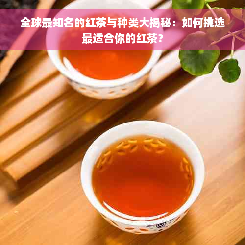 全球最知名的红茶与种类大揭秘：如何挑选最适合你的红茶？