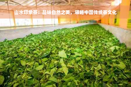 山水印象茶：品味自然之美，领略中国传统茶文化