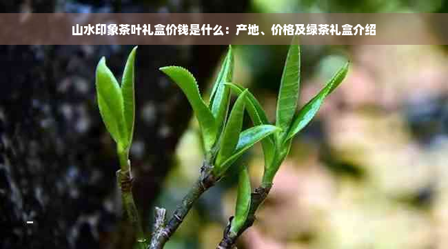 山水印象茶叶礼盒价钱是什么：产地、价格及绿茶礼盒介绍