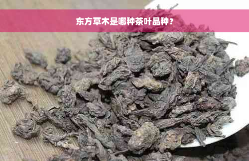 东方草木是哪种茶叶品种？