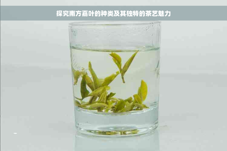 探究南方嘉叶的种类及其独特的茶艺魅力