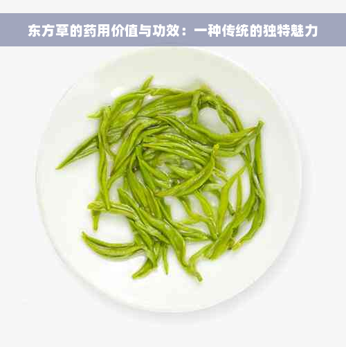 东方草的药用价值与功效：一种传统的独特魅力