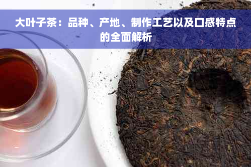 大叶子茶：品种、产地、制作工艺以及口感特点的全面解析