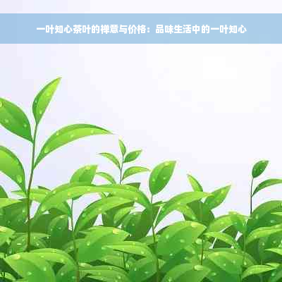 一叶知心茶叶的禅意与价格：品味生活中的一叶知心