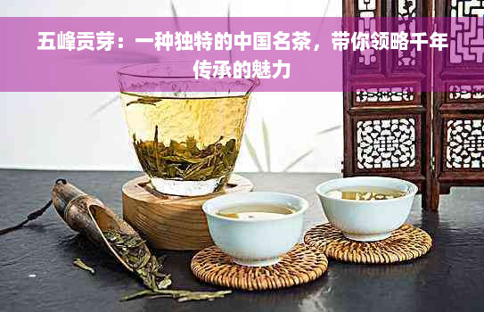 五峰贡芽：一种独特的中国名茶，带你领略千年传承的魅力