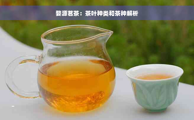 婺源茗茶：茶叶种类和茶种解析