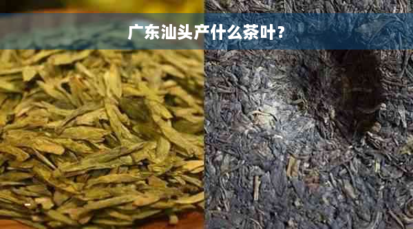 广东汕头产什么茶叶？