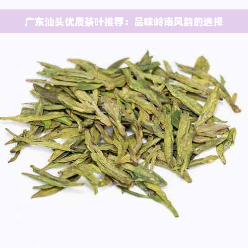 广东汕头优质茶叶推荐：品味岭南风韵的选择