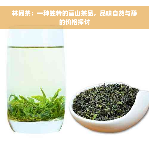 林间茶：一种独特的高山茶品，品味自然与静的价格探讨