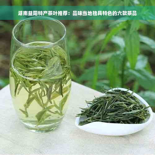 湖南益阳特产茶叶推荐：品味当地独具特色的六款茶品