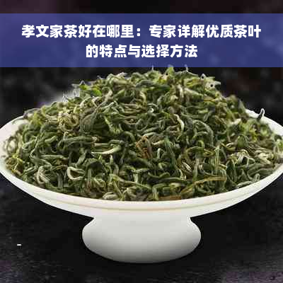 孝文家茶好在哪里：专家详解优质茶叶的特点与选择方法