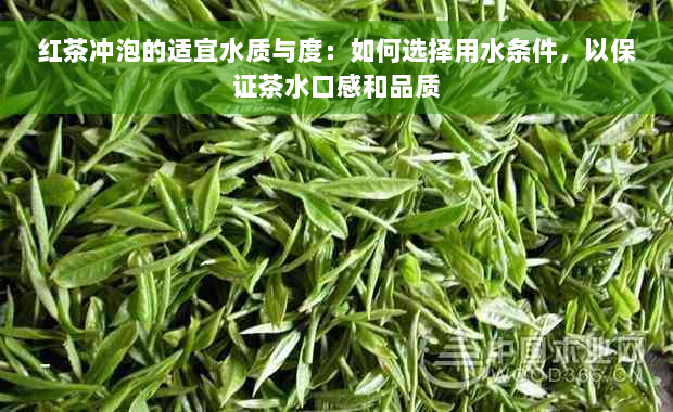 红茶冲泡的适宜水质与度：如何选择用水条件，以保证茶水口感和品质