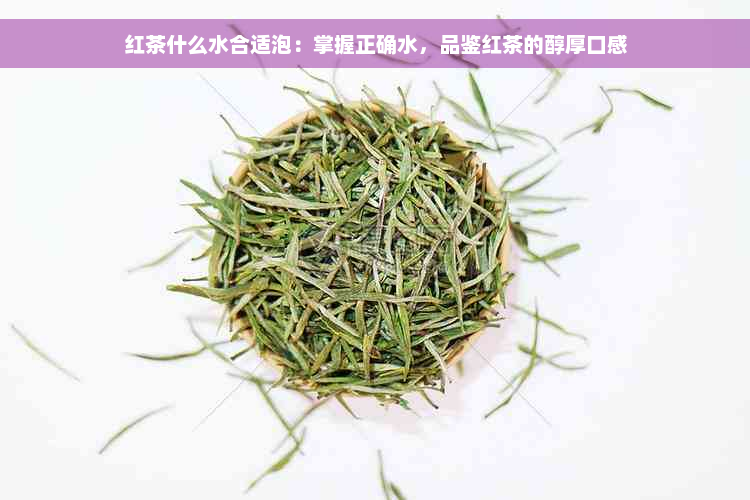 红茶什么水合适泡：掌握正确水，品鉴红茶的醇厚口感