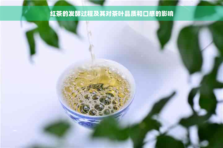 红茶的发酵过程及其对茶叶品质和口感的影响