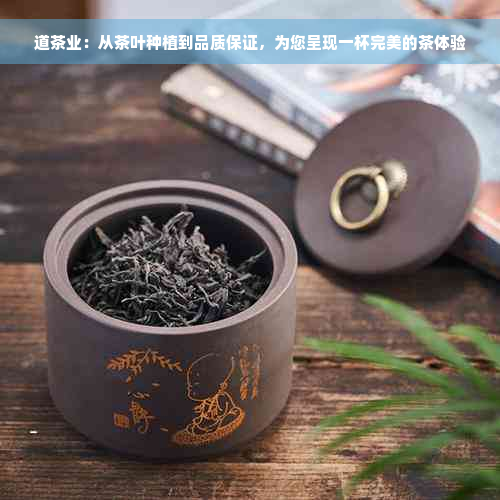 道茶业：从茶叶种植到品质保证，为您呈现一杯完美的茶体验