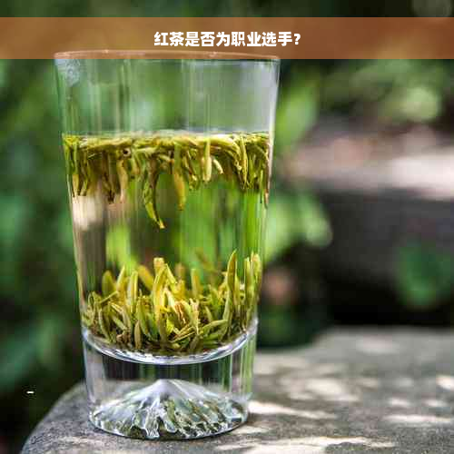 红茶是否为职业选手？