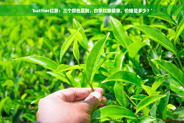 'battler红茶：三个颜 *** 别，白象红象银象，价格是多少？'