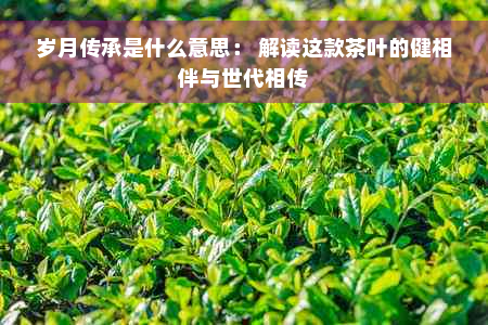 岁月传承是什么意思： 解读这款茶叶的健相伴与世代相传