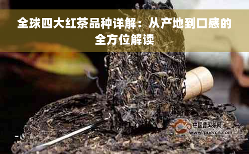 全球四大红茶品种详解：从产地到口感的全方位解读