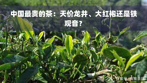 中国最贵的茶：天价龙井、大红袍还是铁观音？