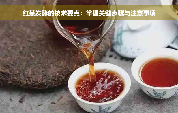 红茶发酵的技术要点：掌握关键步骤与注意事项