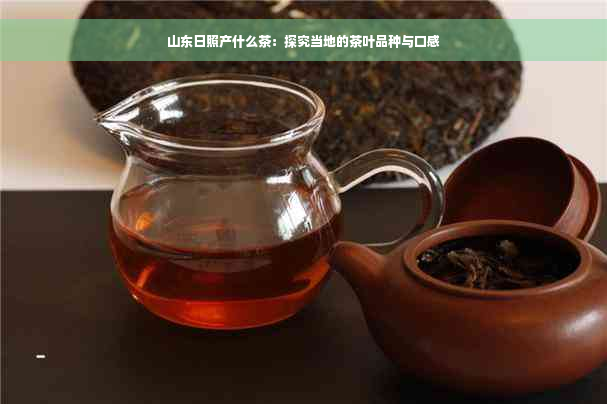 山东日照产什么茶：探究当地的茶叶品种与口感